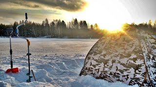 40 КАННИБАЛОВ С ОДНОЙ ЛУНКИ/ЗИМНЯЯ РЫБАЛКА 2020/ГЛУХОЗИМЬЕ/ЛОВЛЯ РОТАНА...