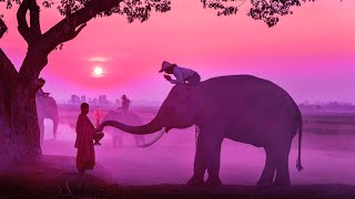 Detox Your Mind And Heart | Meditation Music 528Hz | Positive Energy Cleanse | Spiritual Awakening