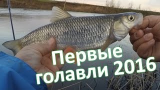Ловля голавля ранней весной на воблеры