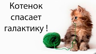 Котенок спасает галактику ! (Lovers In A Dangerous Spacetime)