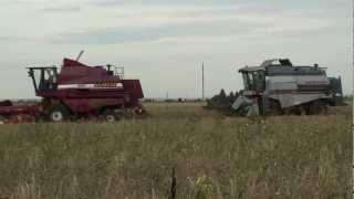 Уборка урожая 2012 комбайнами ПАЛЕССЕ GS 07 и ВЕКТОР 410