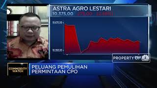 GAPKI: Permintaan Domestik Jaga Stabilitas Harga Komositas Sawit