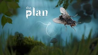 THE PLAN - Симулятор Мухи | Бесплатно в Steam
