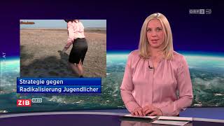 Satin Blouse Wetlook Susanne Höggerl 20181023