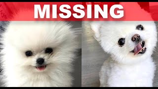 The TRUTH about THE LABRANT FAMILY'S LOST DOG "CARL"