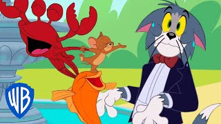 Tom & Jerry in italiano | Il granchio malvagio 