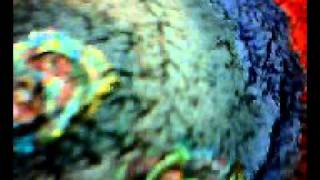 JACKSON POLLOCK AFRICA 34 ART FOR SALE 0020142122195 فن تجريدي