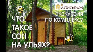 Апитерем. Сон на ульях. Экскурсия по комплексу. 2018