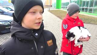 У НАС ПОЯВИЛСЯ КОТ. БРОС ШОУ