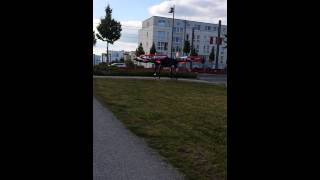 Test Flight after Painting my DJI Phantom