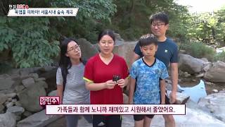 폭염을 피하자! 서울시내 숲속 계곡 [tbs현장렉]