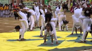 The PSBB Millennium school Sparkle 2014 yoga Demonstration