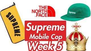Supreme Week 5 SS19 Manual Checkout - Live Cop (Copping at School) TNF Organizer / Air Freshener