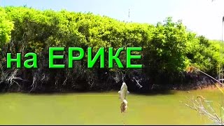 Ангелинский ерик. Ловля на донку. Клевали моментально мелкие карасики, которые все отпускались