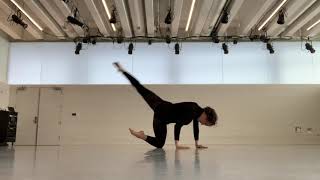 Naomi Benenson Contemporary Ballet Variation Application Supplement