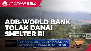 ADB-World Bank Tolak Danai Smelter RI, 12 Proyek Smelter Kekurangan Modal Rp 64 T