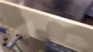 LMC 641 Gravity table removing Sclerontina from Red Lentils