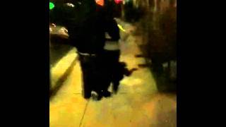 Drunk girl TRYING to walk in Reading PA after club