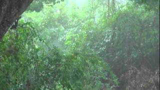 Heavy Rain & Thunder (For Relaxation)