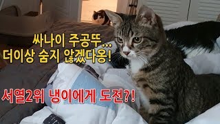 주공이 합사일기 2부 [주공띠의 과감한 도전]