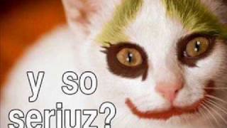 Fools Love - Misfits of Science, NZ music, Joker Cat