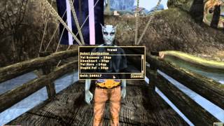 Elder Scrolls 3: Morrowind (pt 20) - Telvanni Hortator