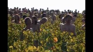 Installation S.Tunick dans le vignoble bourgignon à l'appel de Greenpeace (03-10-09)