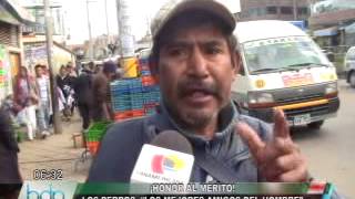 LOS PERROS LOS MEJORES AMIGOS DEL HOMBRE.