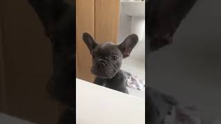 CHLOE FERRY @CHLOEGSHORE1 INSTAGRAM STORIES COMPILATION 23 DE OCTUBRE DEL 2018