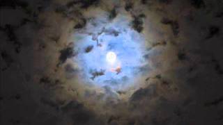 Insane Creation - Distorted Dreams