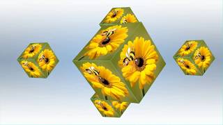 Proshow producer - 3D cubes