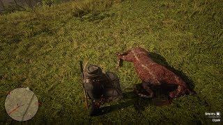 Red Dead Redemption 2 АРТУР  ЦИРКОВОЙ АКРОБАТ?????
