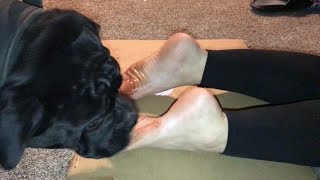 Dog licking & cleaning my soles ??
