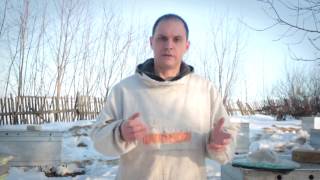 Пасека 2017 Март (Меняем холстики)