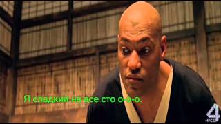 МАТРИЦА   П  НАРЦИСС ШОКОЛАДНЫЙ ЗАЯЦ Specter
