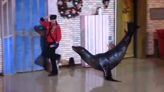 Clyde and Seamore's Christmas Special 11-20-15