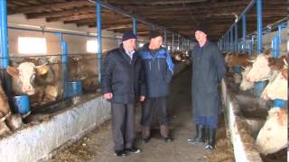 Деревенские этюды. Выпуск 2