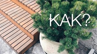 КАК ПОБОРОТЬ СТЕСНЕНИЕ?
