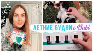 НАКОНЕЦ ВСЕ РЕШИЛОСЬ! ???? ПЕРЕДЕЛКА САНУЗЛА ???? НОВИНКИ Fix Price ???? Важные заказы для ремонта ????