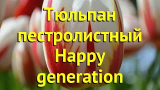 Тюльпан пестролистный Хаппи Генератион. Краткий обзор, описание характеристик Happy generation