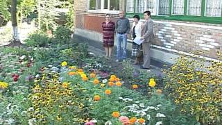 Конкурс на лучшую клумбу