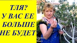 ТЛЯ??? У ВАС ЕЕ БОЛЬШЕ НЕ БУДЕТ!!!