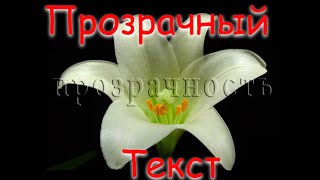 Прозрачный текст в Photoshop CC | Transperent text in Photoshop CC