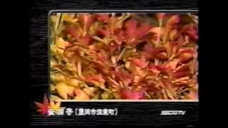 サンテレビ CM集（06）