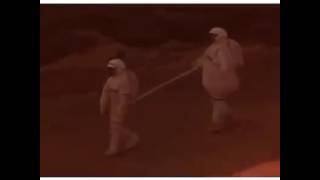 Walking home with ur drunk friend be like...