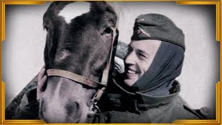 Дневники рядового вермахта. Часть 11
