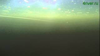 Воблер The Outdoor Zaco Minnow SP88S Суспендер