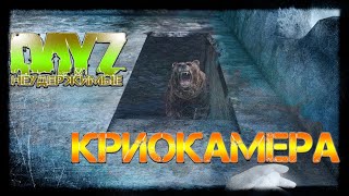 КРИОКАМЕРА ✌ DayZ НЕУДЕРЖИМЫЕ СТРИМ патч 1.06