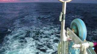 Tuna fishing aboard F V Demi maddison