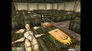 The Elder Scrolls III: Morrowind - Das etwas andere Artefakt-Museum